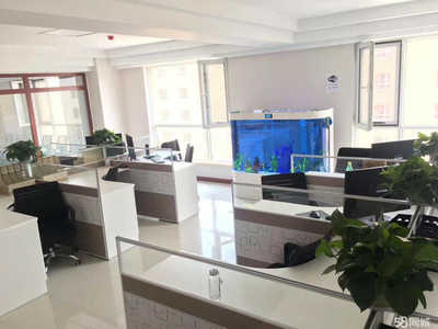 北京博融泰普惠信息咨詢(xún)